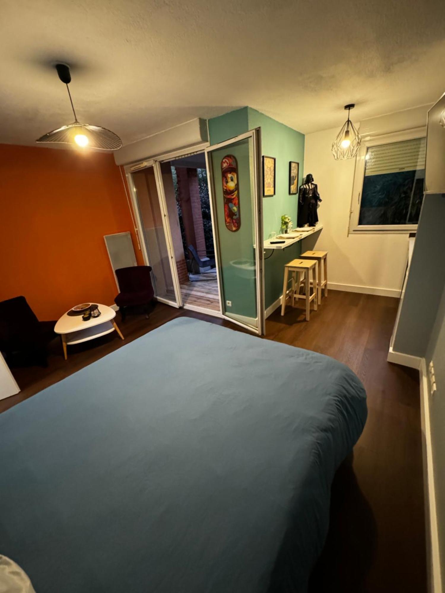 Le Loft Geek Apartment Тулуза Екстериор снимка
