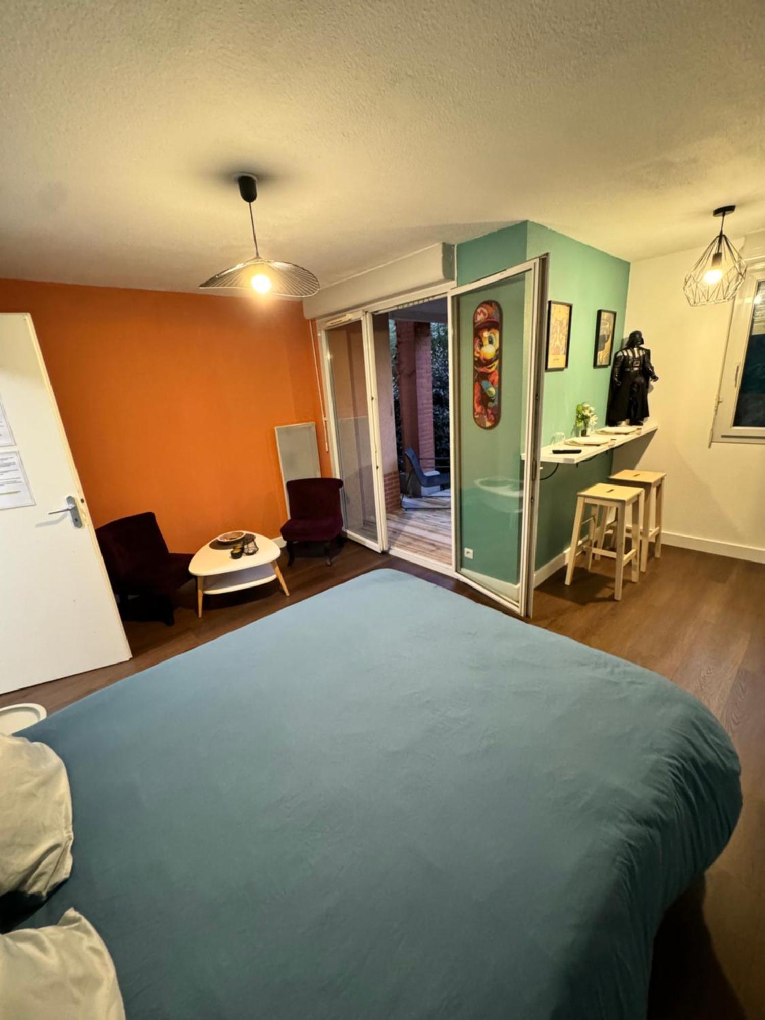 Le Loft Geek Apartment Тулуза Екстериор снимка
