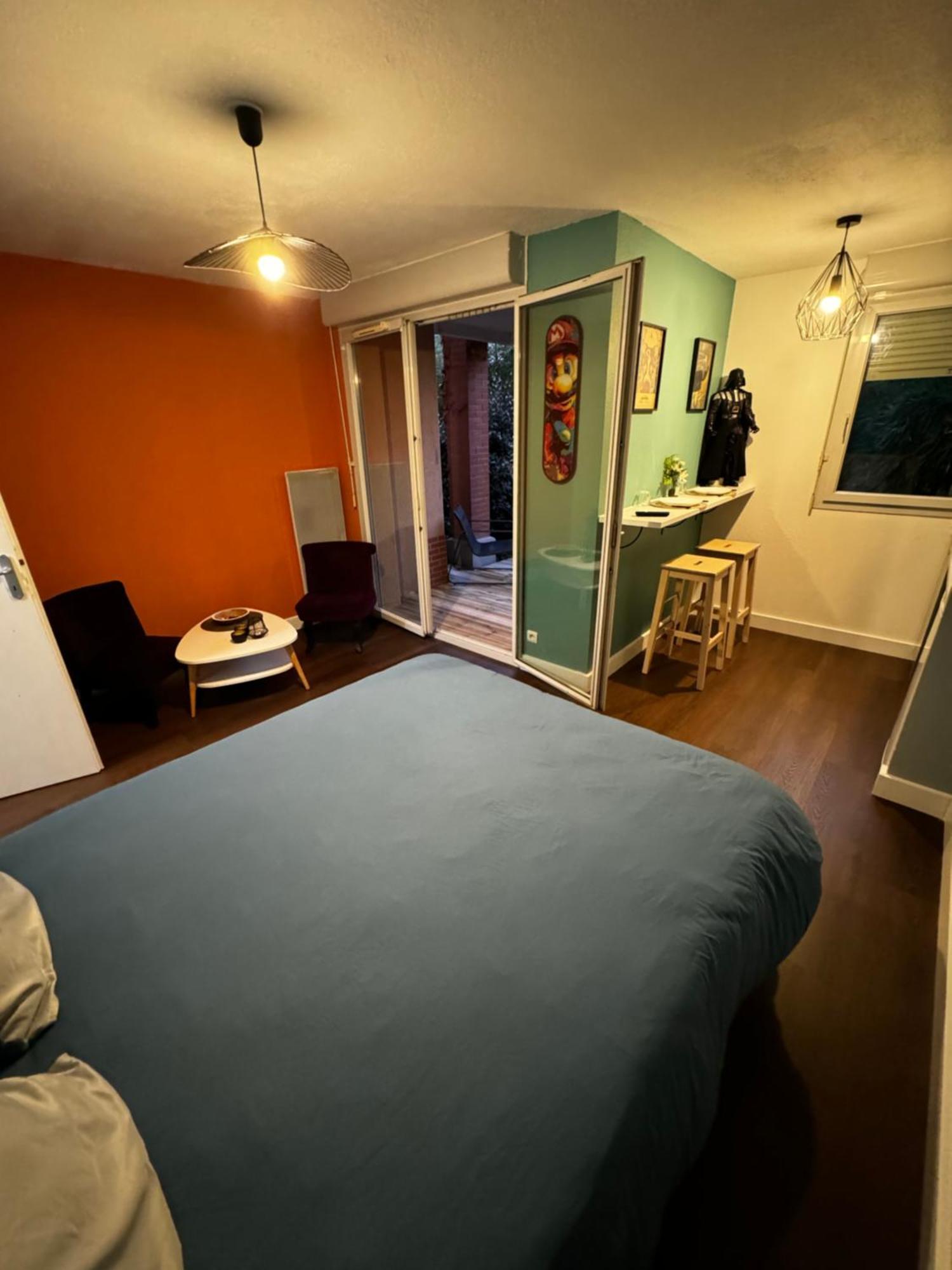 Le Loft Geek Apartment Тулуза Екстериор снимка